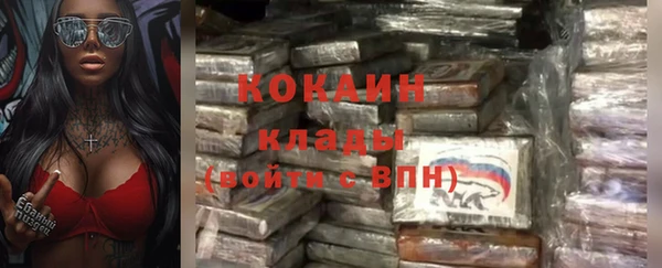 амф Алексин