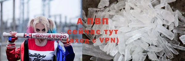 амф Алексин