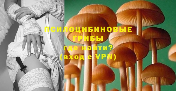 прущие крисы Алексеевка