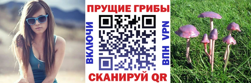 Псилоцибиновые грибы прущие грибы  дарнет шоп  Домодедово 
