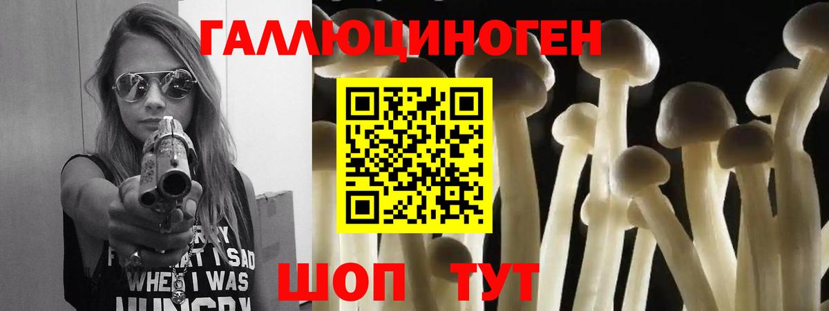 Псилоцибиновые грибы Psilocybe  Галлюциногенные грибы мицелий  Вход с VPN  Домодедово 